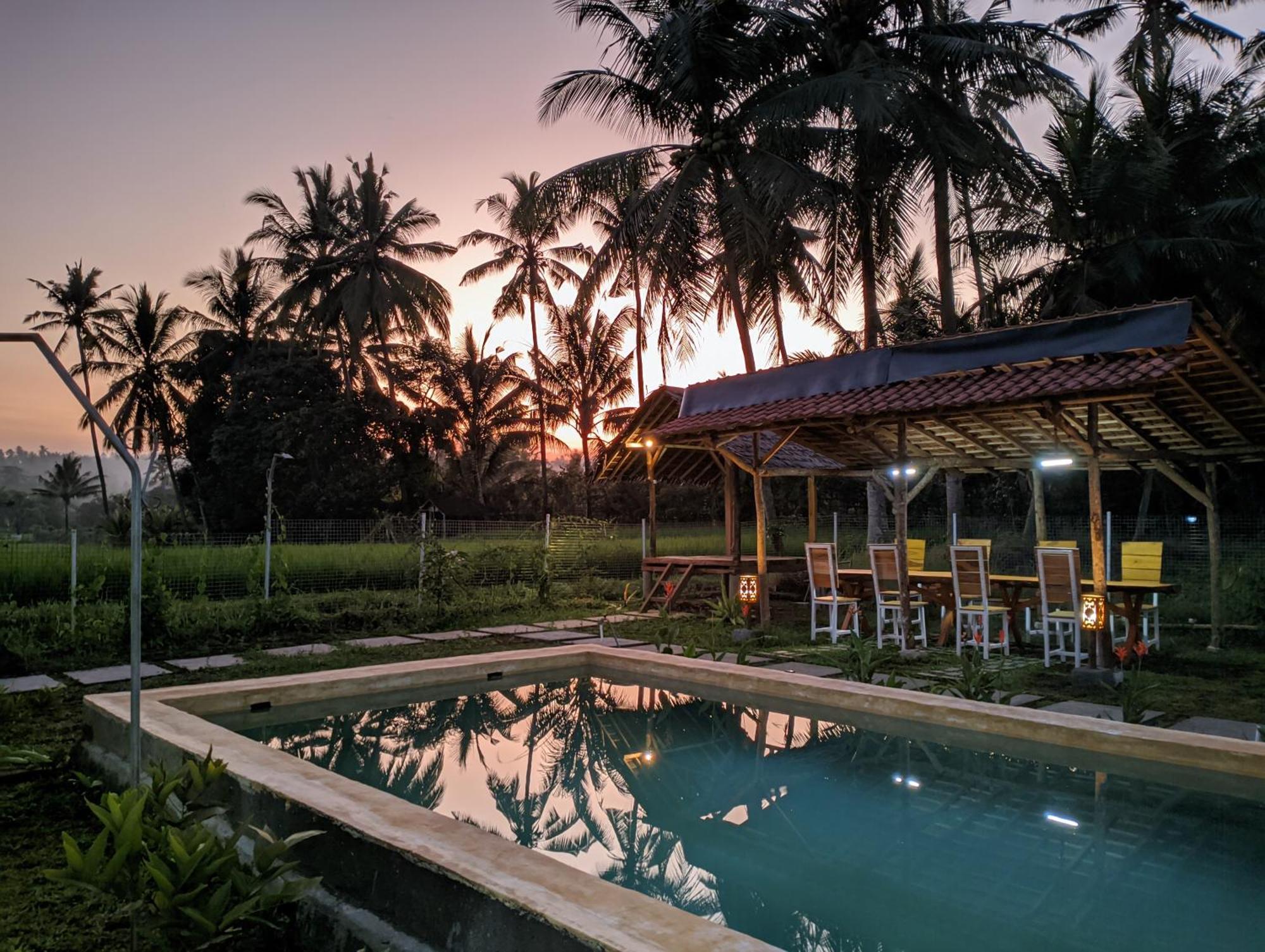 Wooden Kemiren Homestay Banyuwangi Banyuwangi  Buitenkant foto
