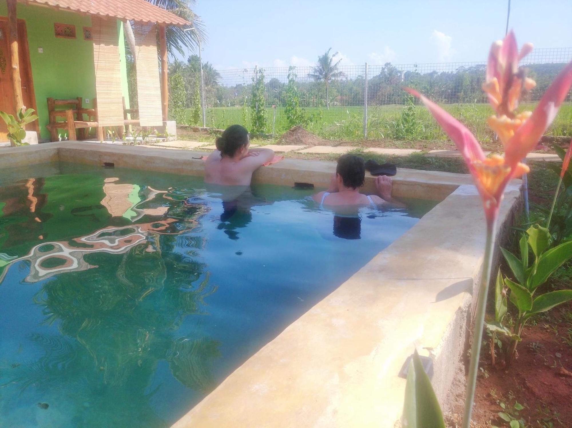 Wooden Kemiren Homestay Banyuwangi Banyuwangi  Buitenkant foto