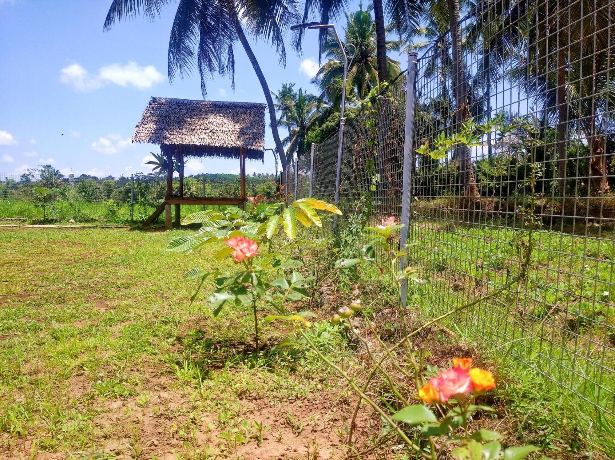 Wooden Kemiren Homestay Banyuwangi Banyuwangi  Buitenkant foto