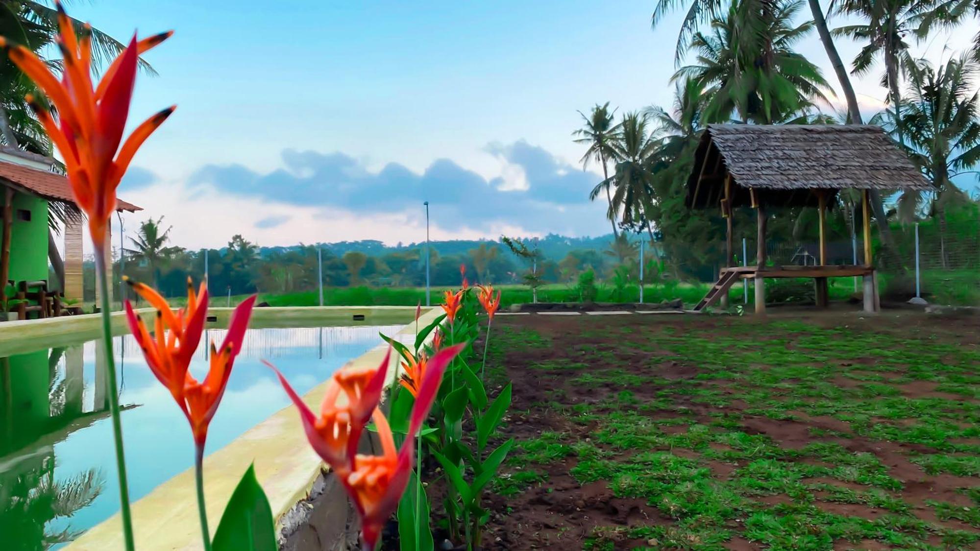 Wooden Kemiren Homestay Banyuwangi Banyuwangi  Buitenkant foto