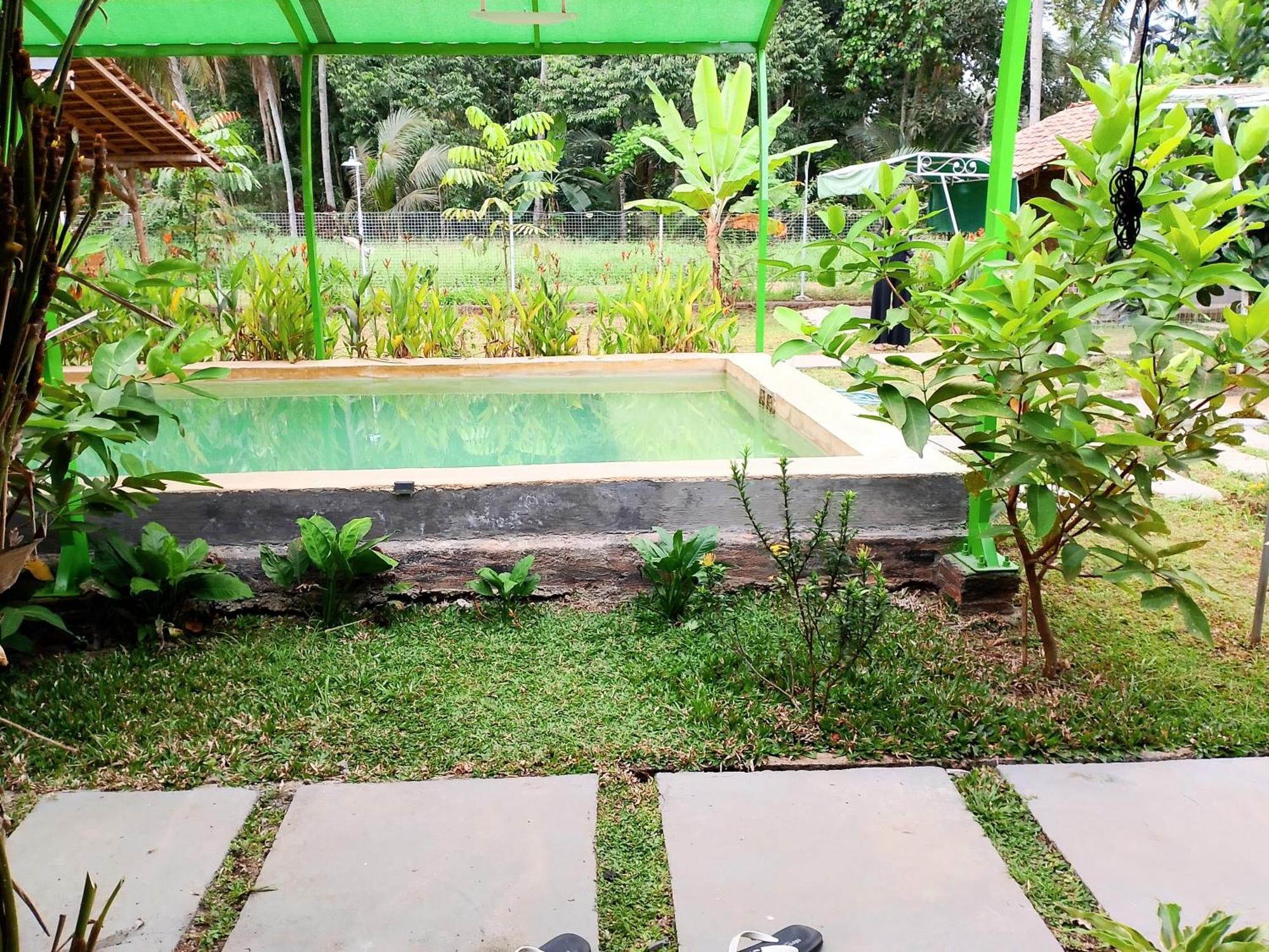 Wooden Kemiren Homestay Banyuwangi Banyuwangi  Buitenkant foto